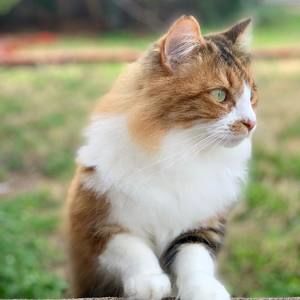 Meet your Posher, Monya